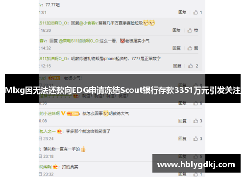 Mlxg因无法还款向EDG申请冻结Scout银行存款3351万元引发关注