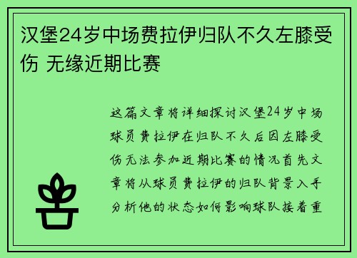 汉堡24岁中场费拉伊归队不久左膝受伤 无缘近期比赛